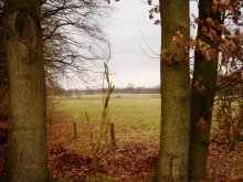 Ansicht VERKAUFT! WALDRANDLAGE - ruhiges Grundst�ck (Teilung denkbar) Rosengarten/Eckel