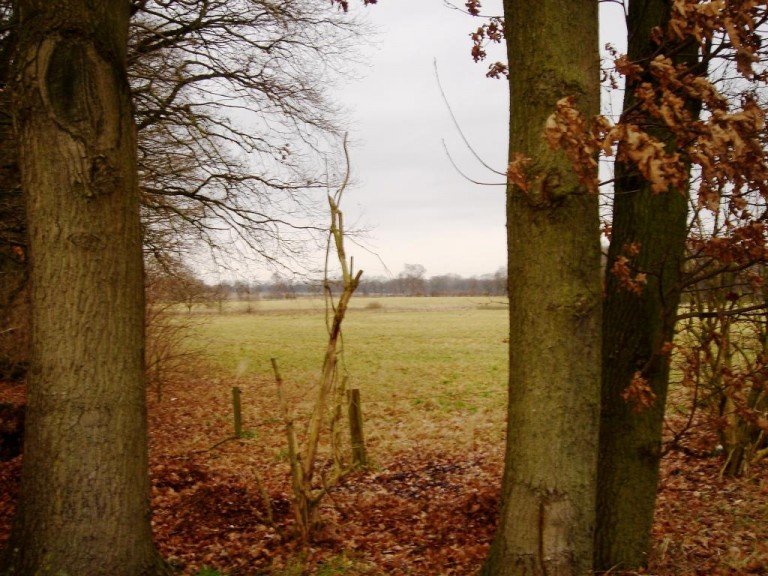 Ansicht Rosengarten Wohngrundst�ck VERKAUFT! WALDRANDLAGE - ruhiges Grundst�ck (Teilung denkbar) Rosengarten/Eckel