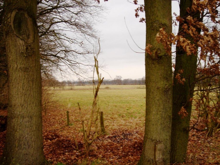 Ansicht Wohngrundst�ck Rosengarten
